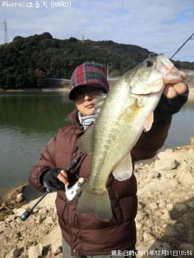 �֥�å��Х�