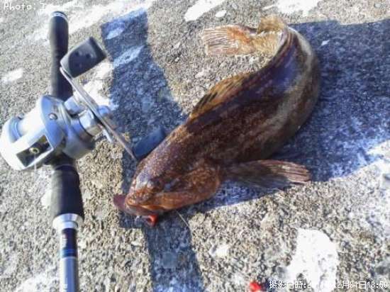 �����ʥ�