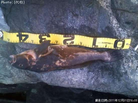 �����ʥ�