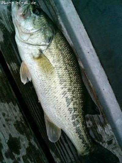 �֥�å��Х�