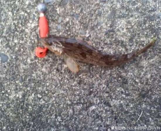 �����ʥ�