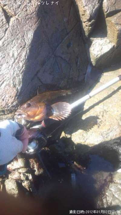 �����ʥ�