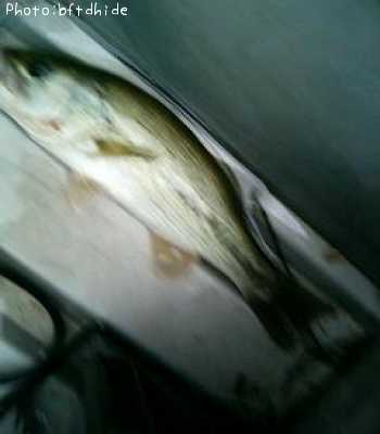 �֥�å��Х�