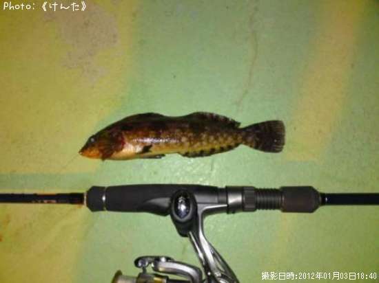 �����ʥ�