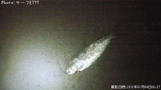 ���Υ���