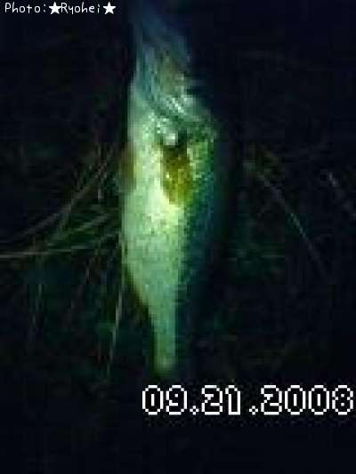 �֥�å��Х�