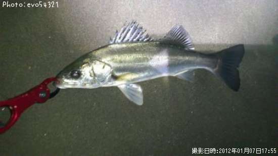 �����Х�