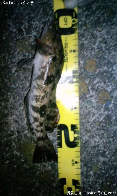 �����ʥ�