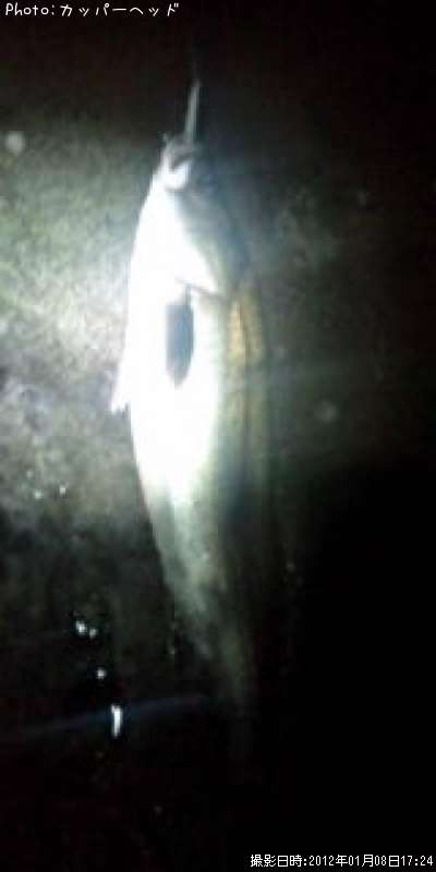 �����Х�