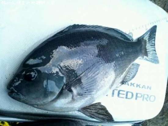 �����᥸��