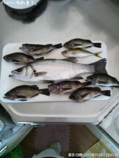 ��Х롢�����������ҥ�եå�