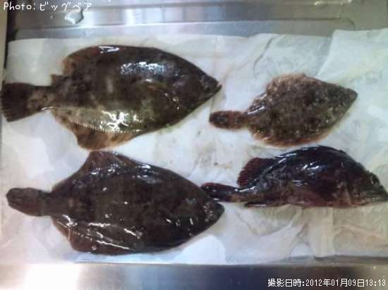 �ޥ����쥤