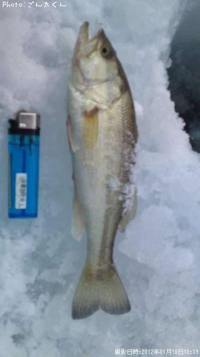 �֥�å��Х�