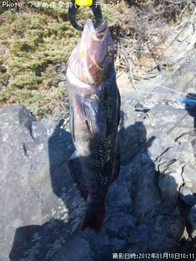 �����ʥ�