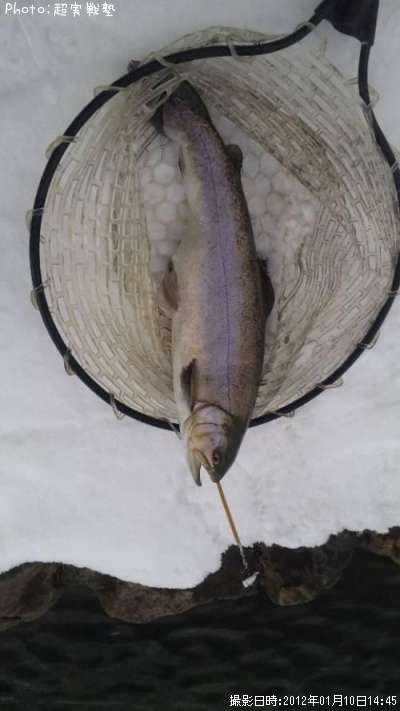 �쥤��ܡ��ȥ饦��