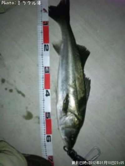 �����Х�