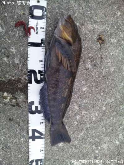 �����ʥ�