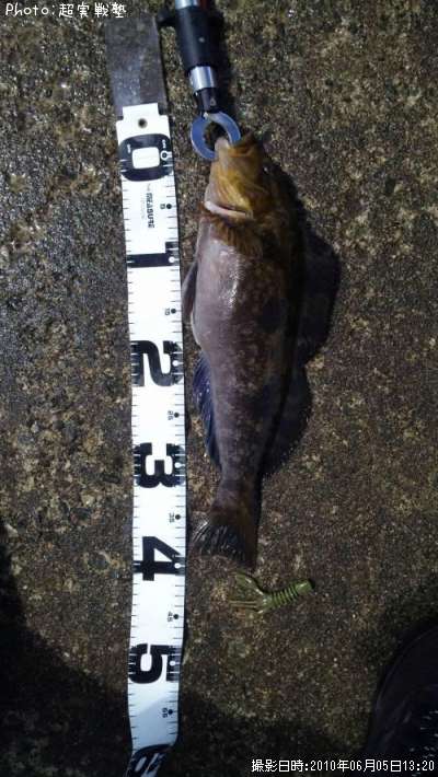 �����ʥ�