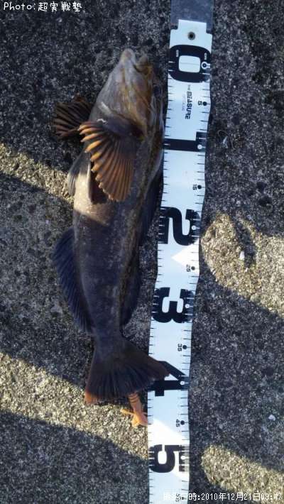 �����ʥ�