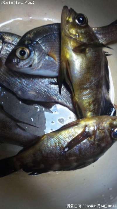 ��Х롢���ߥ��ʥ�