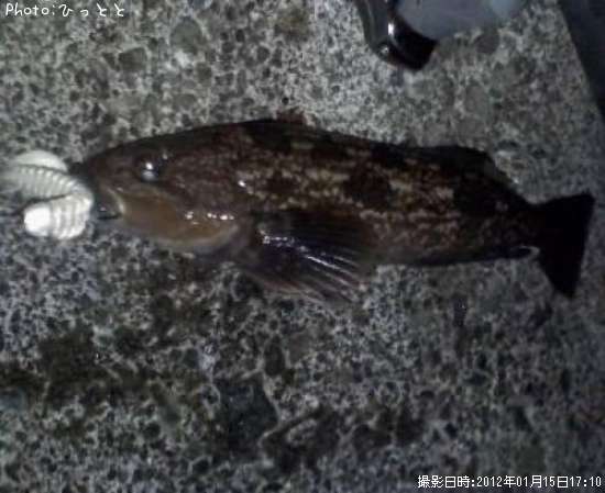 �����ʥ�