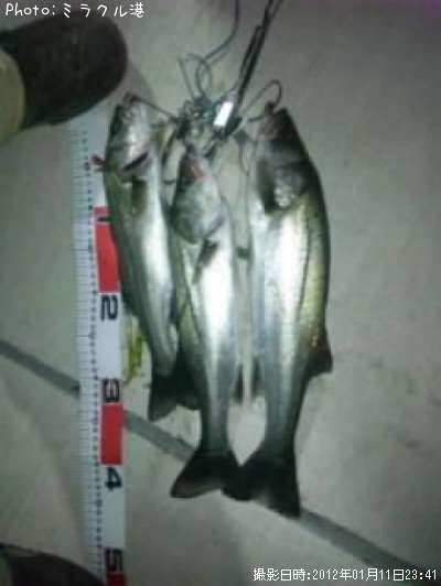 �����Х�