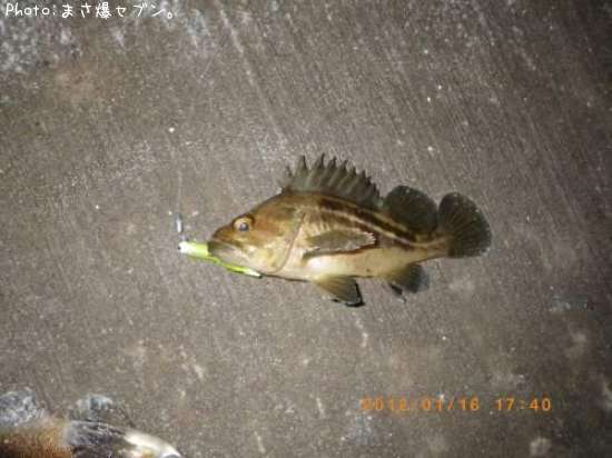 ���ޥ���