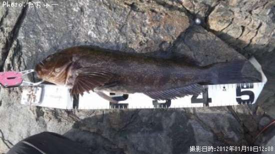 �����ʥ�