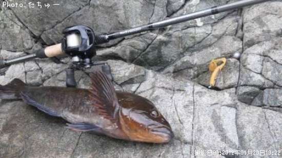 �����ʥ�