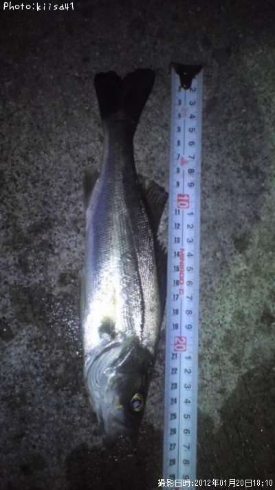 �����Х�