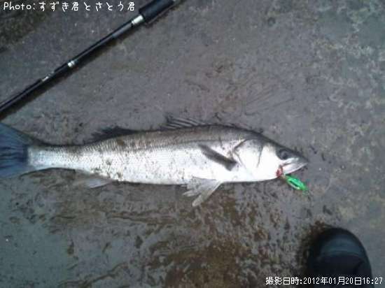 �����Х�