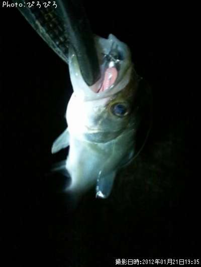 �����Х�