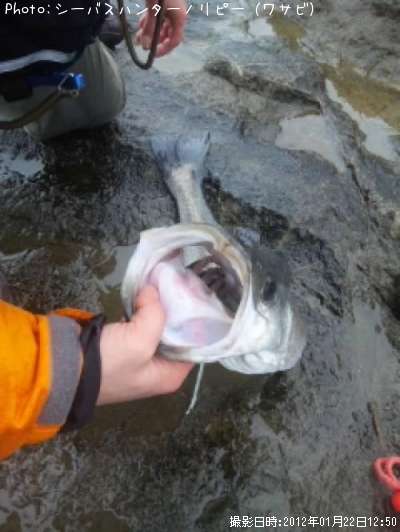 �����Х�