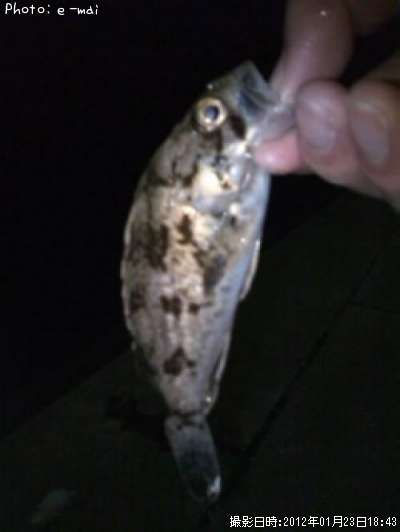 �����Υ���Х�