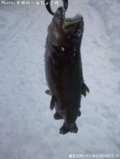 �쥤��ܡ��ȥ饦��