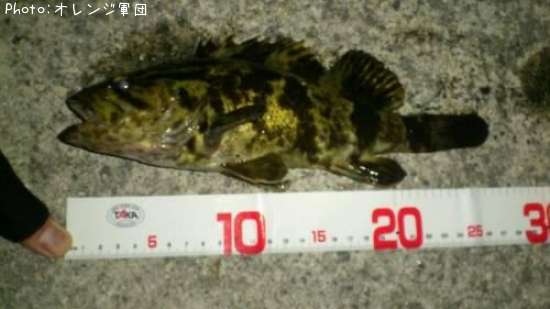 �����Υ���Х�