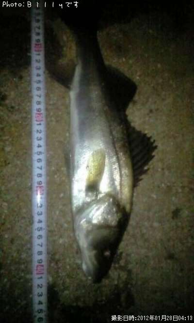 �����Х�