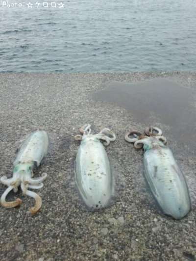 �����ꥤ��