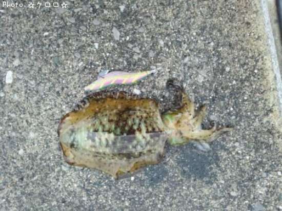 �����ꥤ��