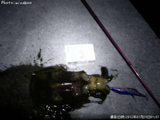 �����ꥤ��