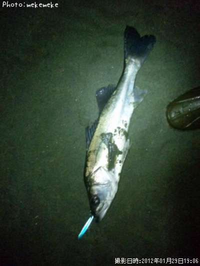 �����Х�