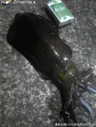 �����ꥤ��