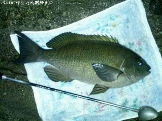 �����᥸��