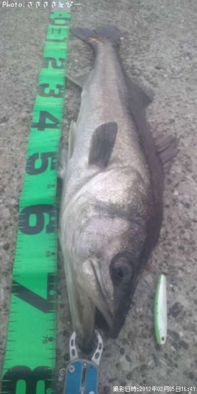 �����Х�