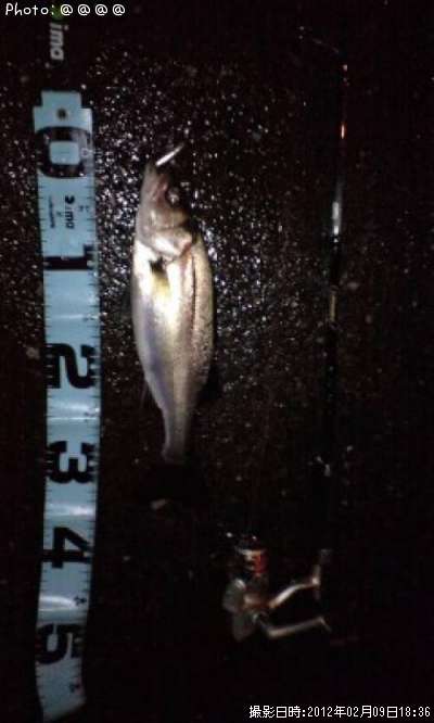 �����Х�