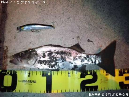 �ҥ饻����