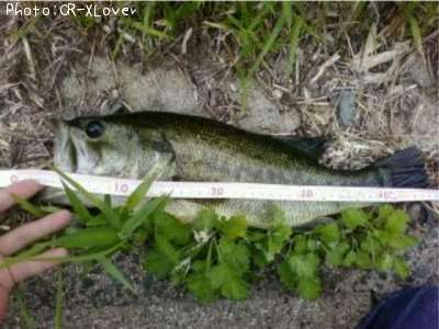 �֥�å��Х�