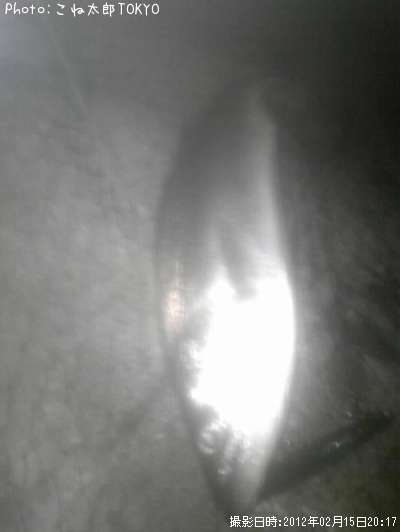 �����Х�