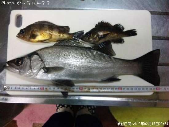 �ҥ饹����