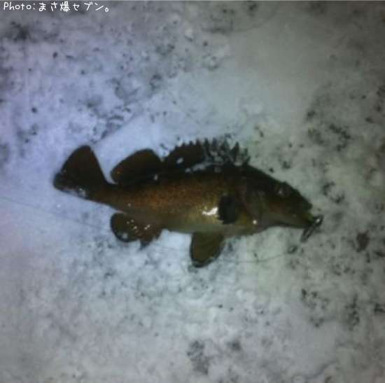 ������Х�